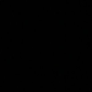 Meet your Posher, Omari